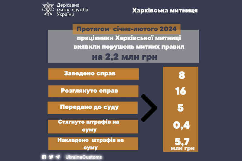 Порушення, виявлені працівниками Харківської митниці, протягом січня-лютого 2024 року
