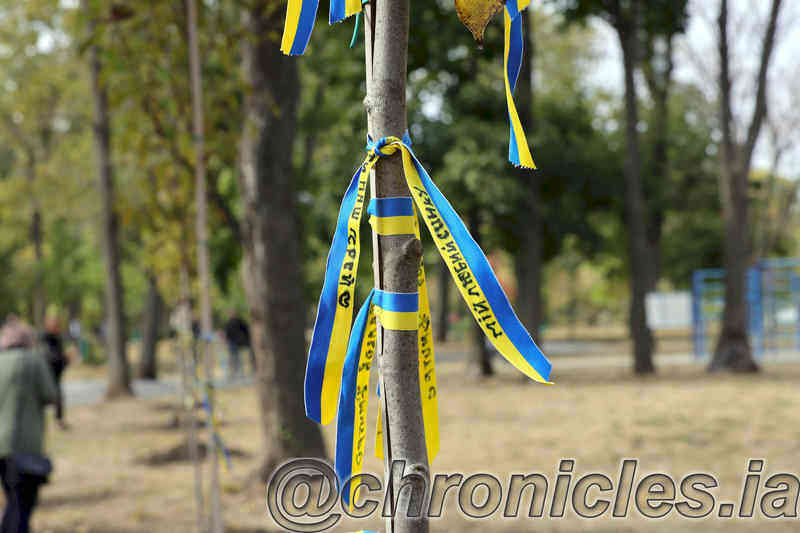 Аллея Памяти волонтеров