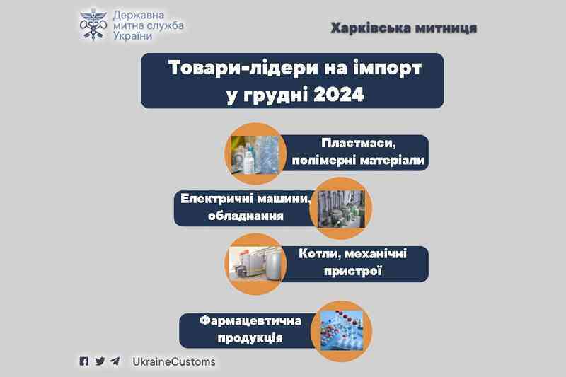 Товары-лидеры на импорт в декабре 2024 года