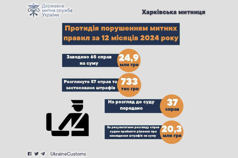 Протидія порушенням митних правил за 12 місяців 2024 року