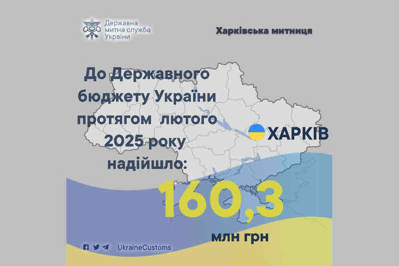 В Государственный бюджет Украины в течение февраля 2025 года поступило 160,3 млн грн