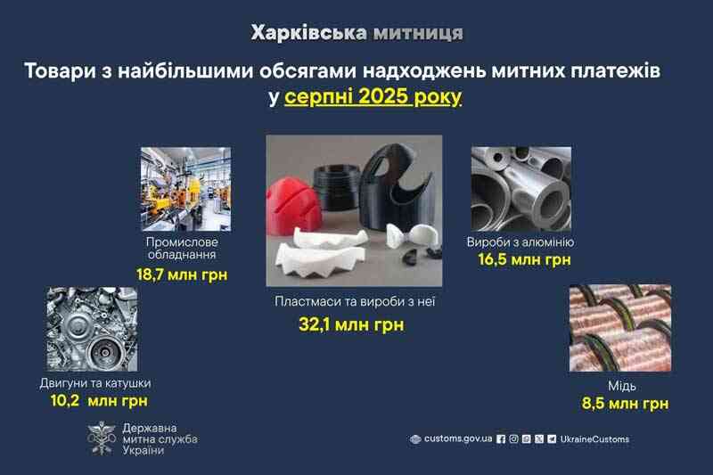 Товары с наибольшими объемами поступлений таможенных платежей в августе 2025 года