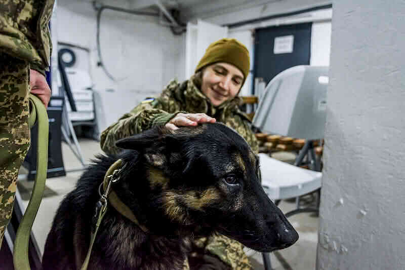 Пухнасті Слобожанські «Скіфи» займаються відновленням поранених гвардійців та прикордонників