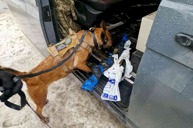 Найденное в автомобиле оружие