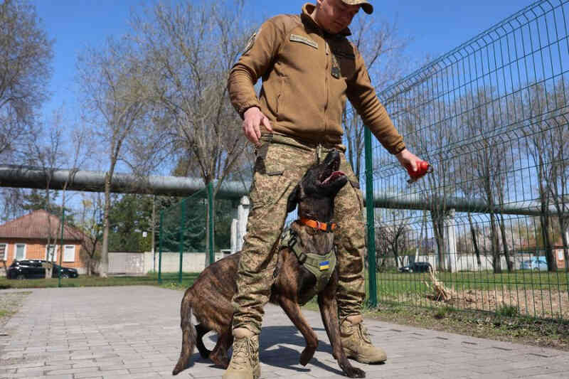 «Хантер» с Девой