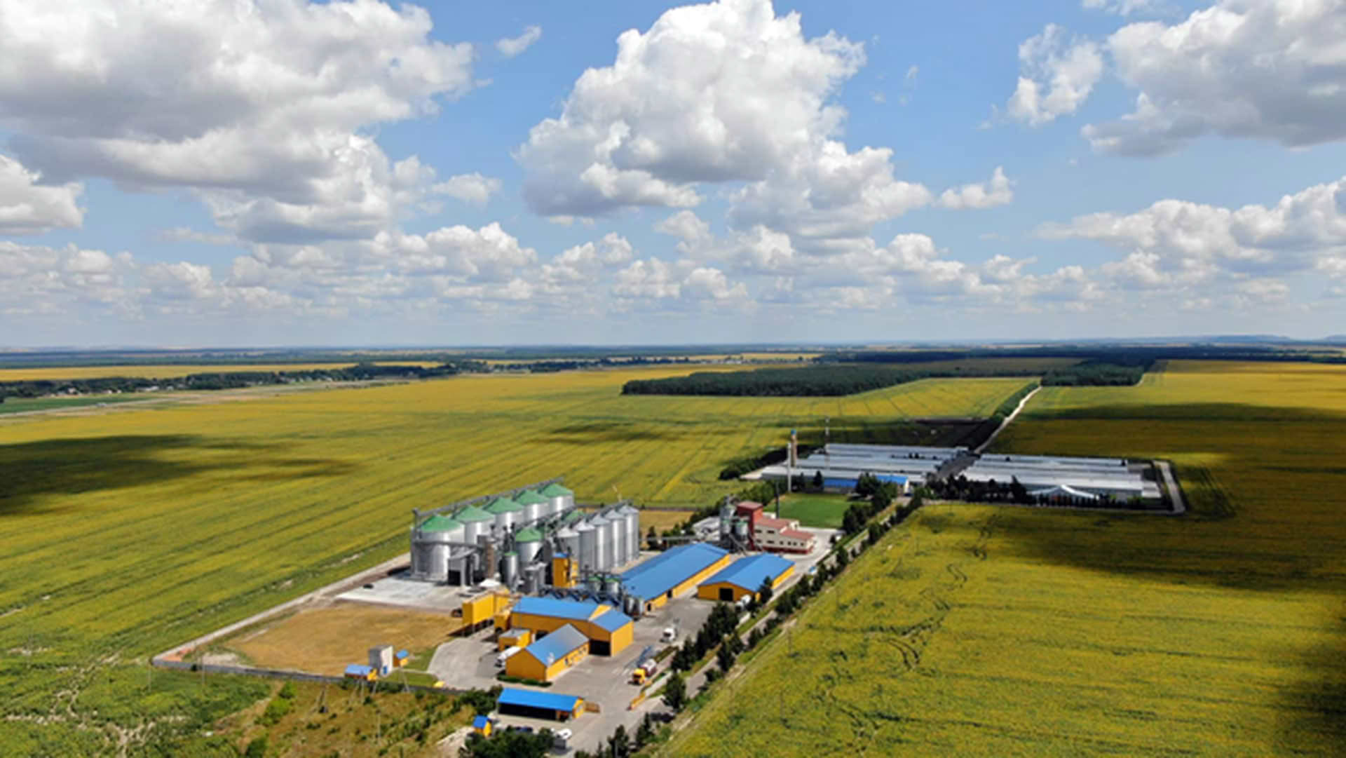 Агрокомплекс, спроектированный ПСК «ЧИФ»